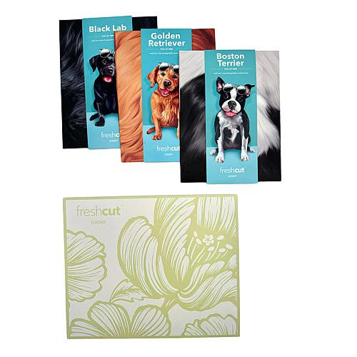 Crafts & Sewing Freshcut Paper Set of 3 Pop-Up Pet Greeting Cards w/Accessories - Gray/Grey | HSN