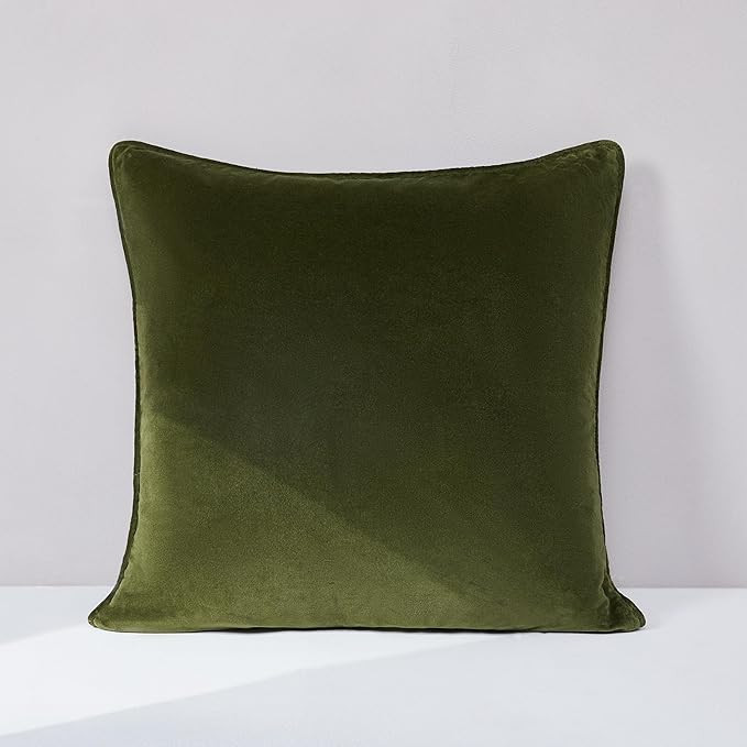 Lush Decor x Chuks Collins Terran Velvet Decorative Pillow Cover Single 22" W x 22" L Green - 22x... | Amazon (US)
