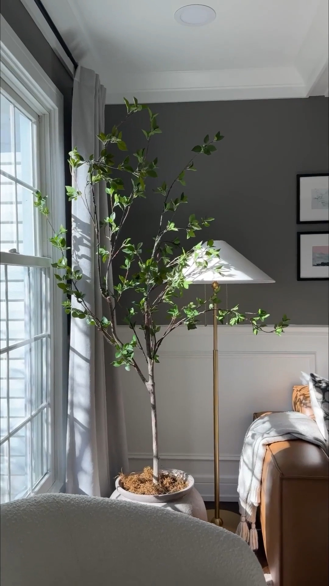 One of my all time favorite faux trees! This is a 6.5ft faux citrus tree and it creates the most organic and wispy look which I love! A great price point too—under $140!

#LTKHome #LTKSaleAlert