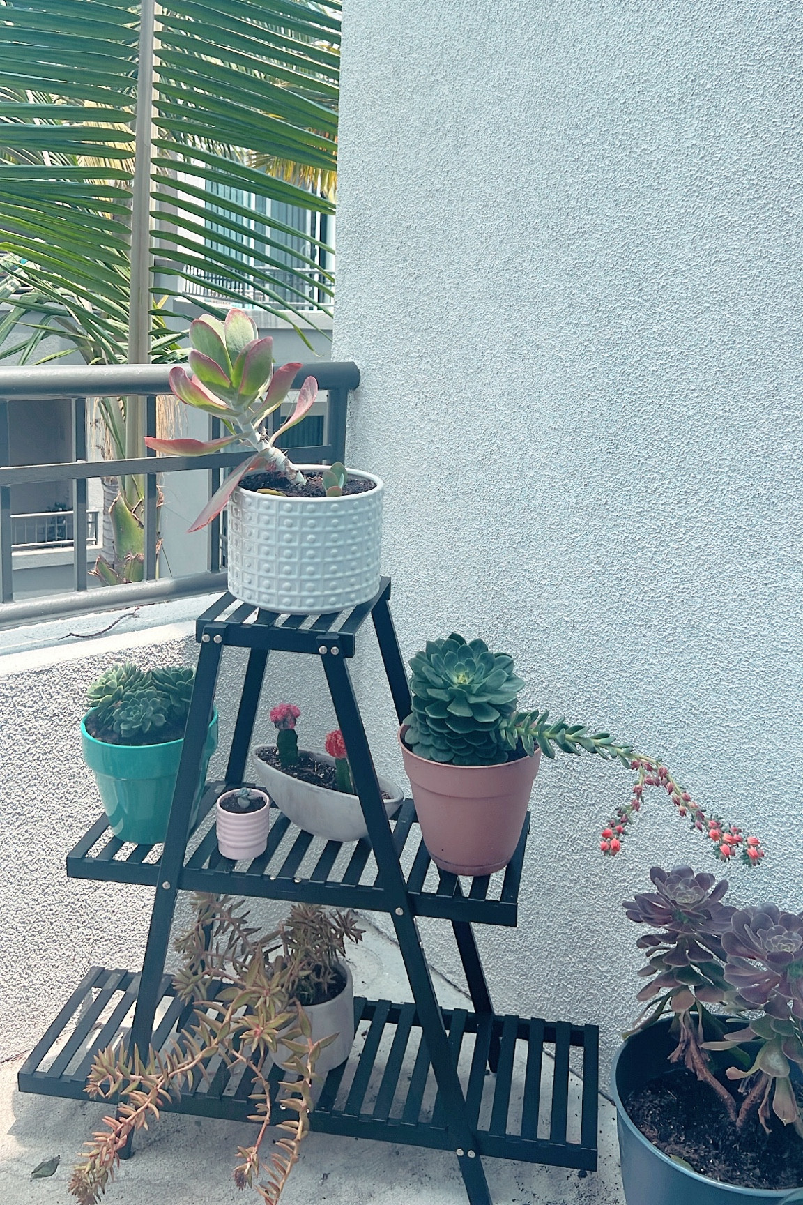 Bamboo plant stand for indoor or outdoor
Fits so many plants and very easy to set up! 🌱 
Plant holder
Amazon finds

#LTKFind #LTKunder100 #LTKhome