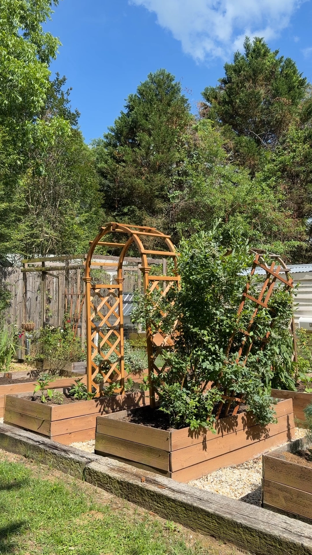I’ve been a customer of @Wayfair for many year and this is one of my favorite purchases. In fact, this is my third year adding one to our property! An arbor in the garden really gives that fairytale charm. Definitely recommend! #wishyouwerehere #wayfair #wayfairpartner #outdoor #ad