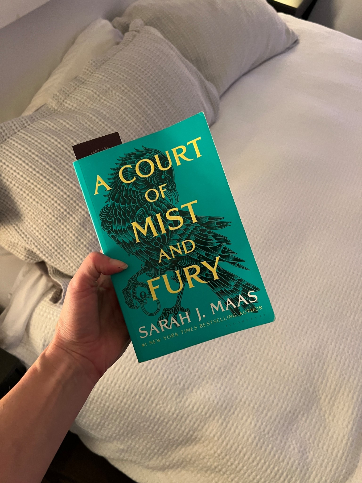 It is literally keeping me up at night as I am racing to try and read this whole series. SO GOOD! 

#LTKFindsUnder100 #LTKGiftGuide #LTKFindsUnder50