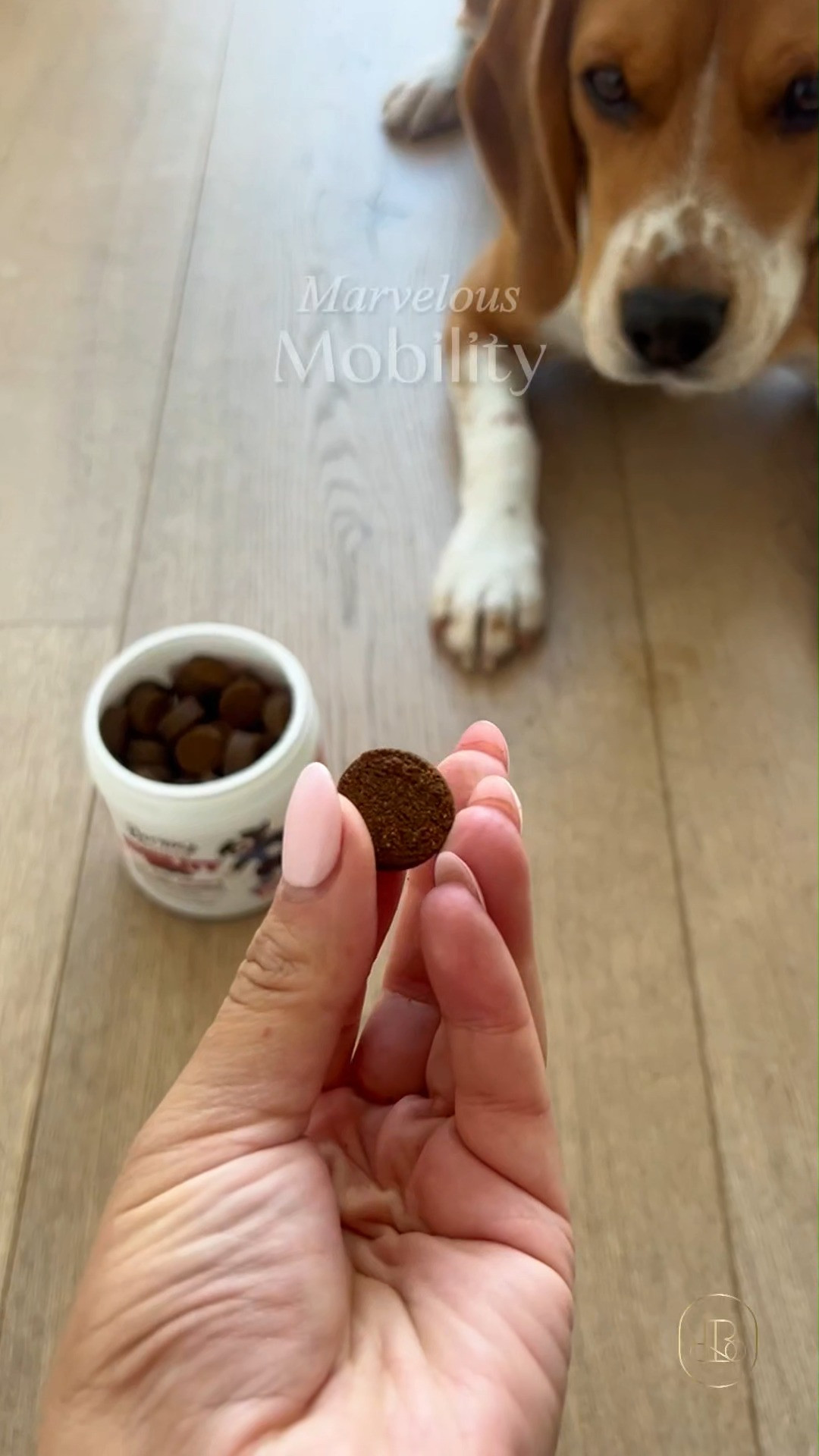 If you notice your pup moving a little slower after long walks or backyard play, this mobility support chew is a nice to have for instant joint comfort! 🐾 Formulated with delicious natural flavors, these soft chews taste like a treat so your dog looks forward to taking their daily mobility supplements without any fuss. Great buy for your dog’s wellness routine to keep them running, jumping, and playing comfortably. 🦴 #LTKunder50 #LTKfit #DogMomHacks #PetFavorites #PetCare #DogLife #PetSupplies 

#LTKmomlife #LTKHome