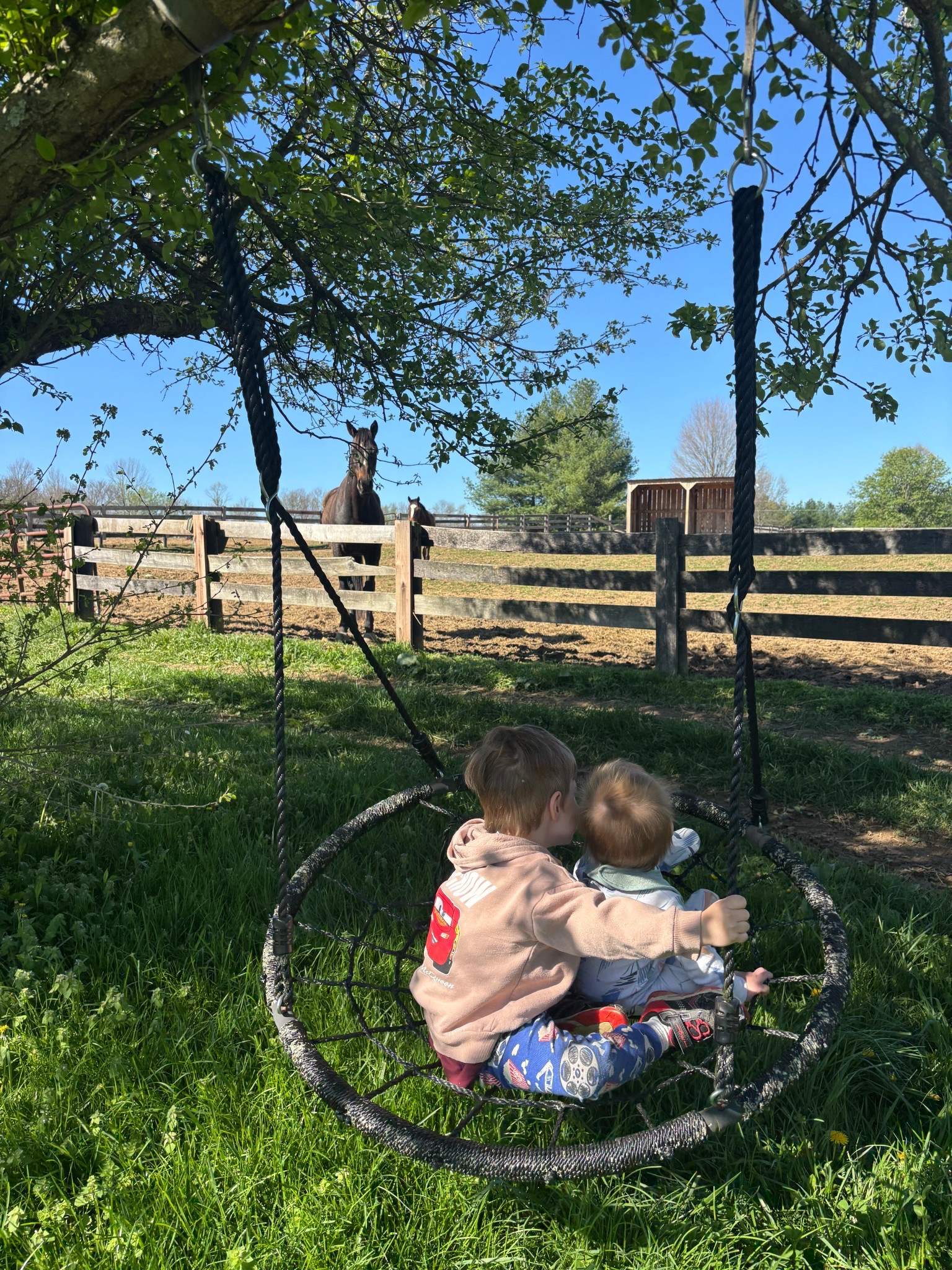 Giving them the most whimsical childhood I hope 🥺 love these spider web swings!

#LTKKids #LTKBaby #LTKmomlife