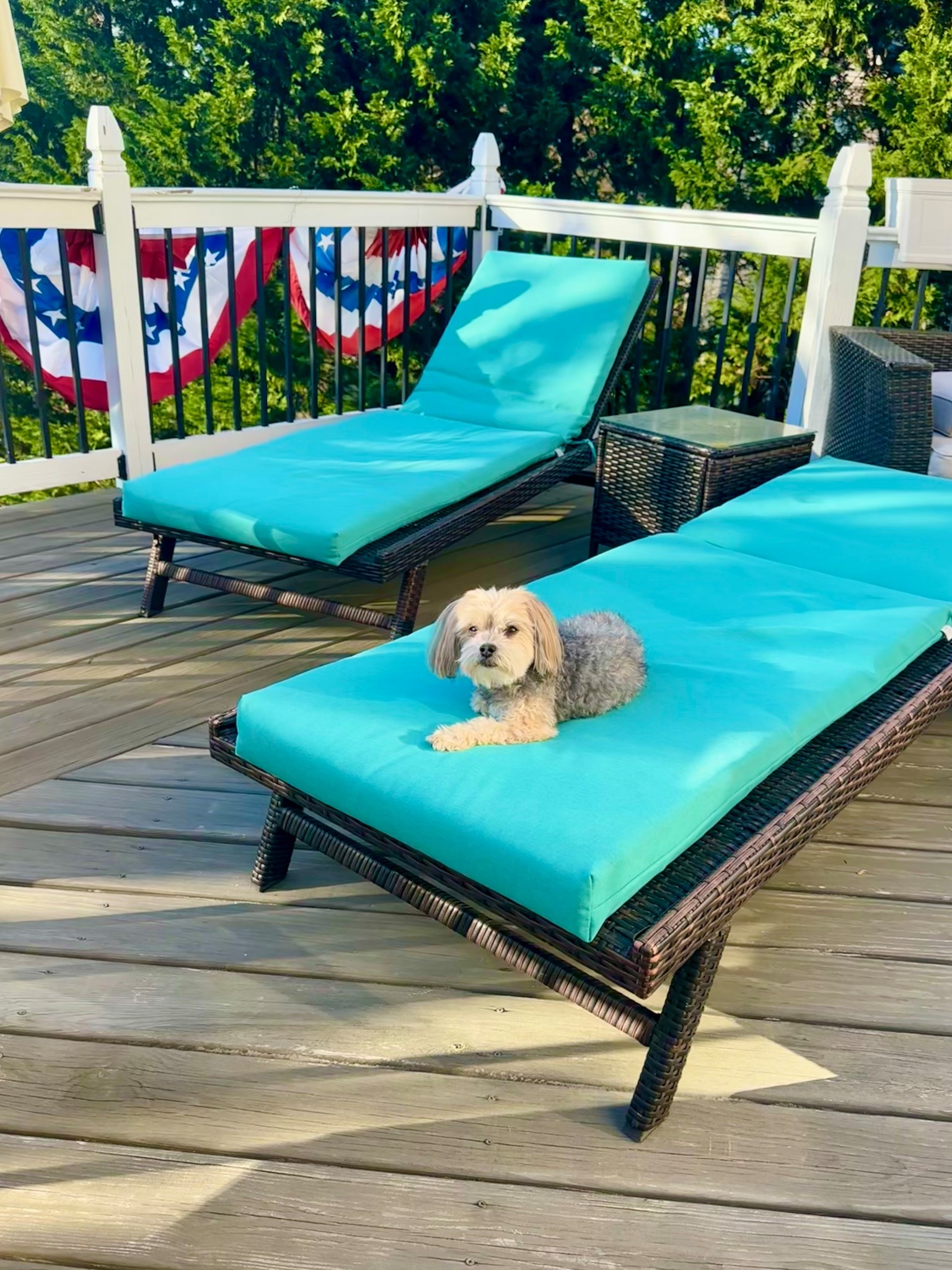 Best seat outside the house! We’ve been enjoying every minute in these chairs the last 4 years! Great quality!

#LTKSeasonal #LTKHome