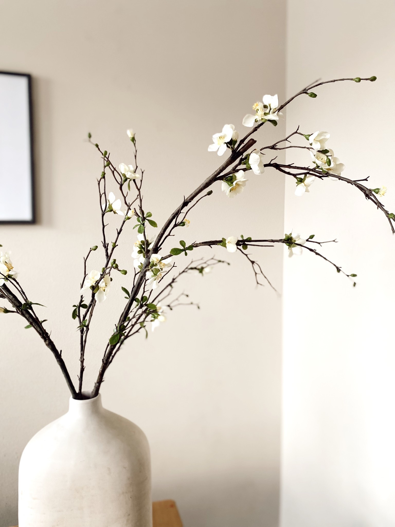 First look at these gorgeous blossom branches from Afloral. Going to add a few more but they are BEAUTIFUL!

#LTKHome #LTKSeasonal