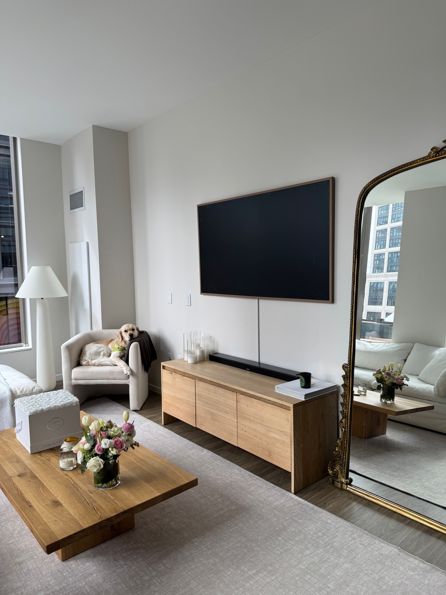 living room details - tv