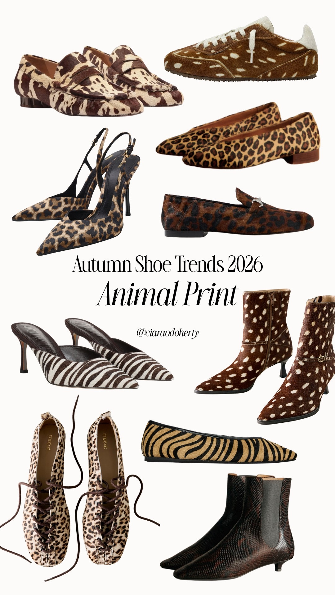 Autumn Shoe Trends 2026: Animal Print. Think leopard, deer, dalmatian, tiger, zebra trainers, heels, boots and ballet flats

#LTKautumn #LTKFashionMonth #LTKshoes