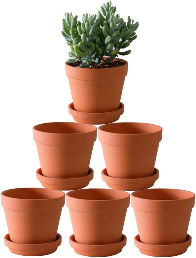 Terra Cotta Pots with Saucer- 6-Pack Large Clay Pots 5.5'' Ceramic Pottery Planter Cactus Flower ... | Amazon (US)