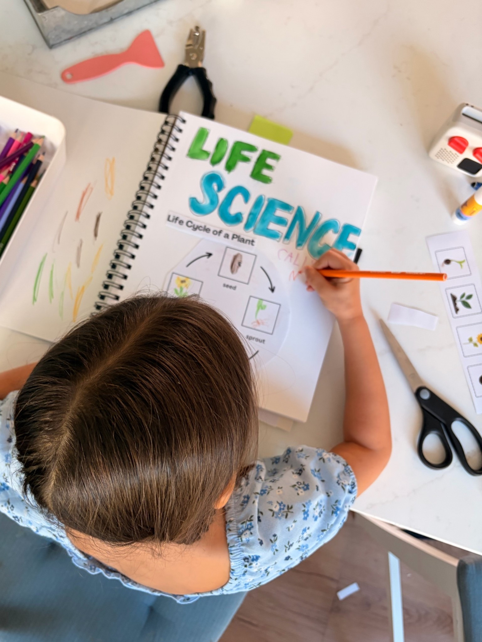 Homeschool notebook 📒💖

Kindergarten | science notebook | social studies

#LTKmomlife #LTKKids #LTKdayinmylife