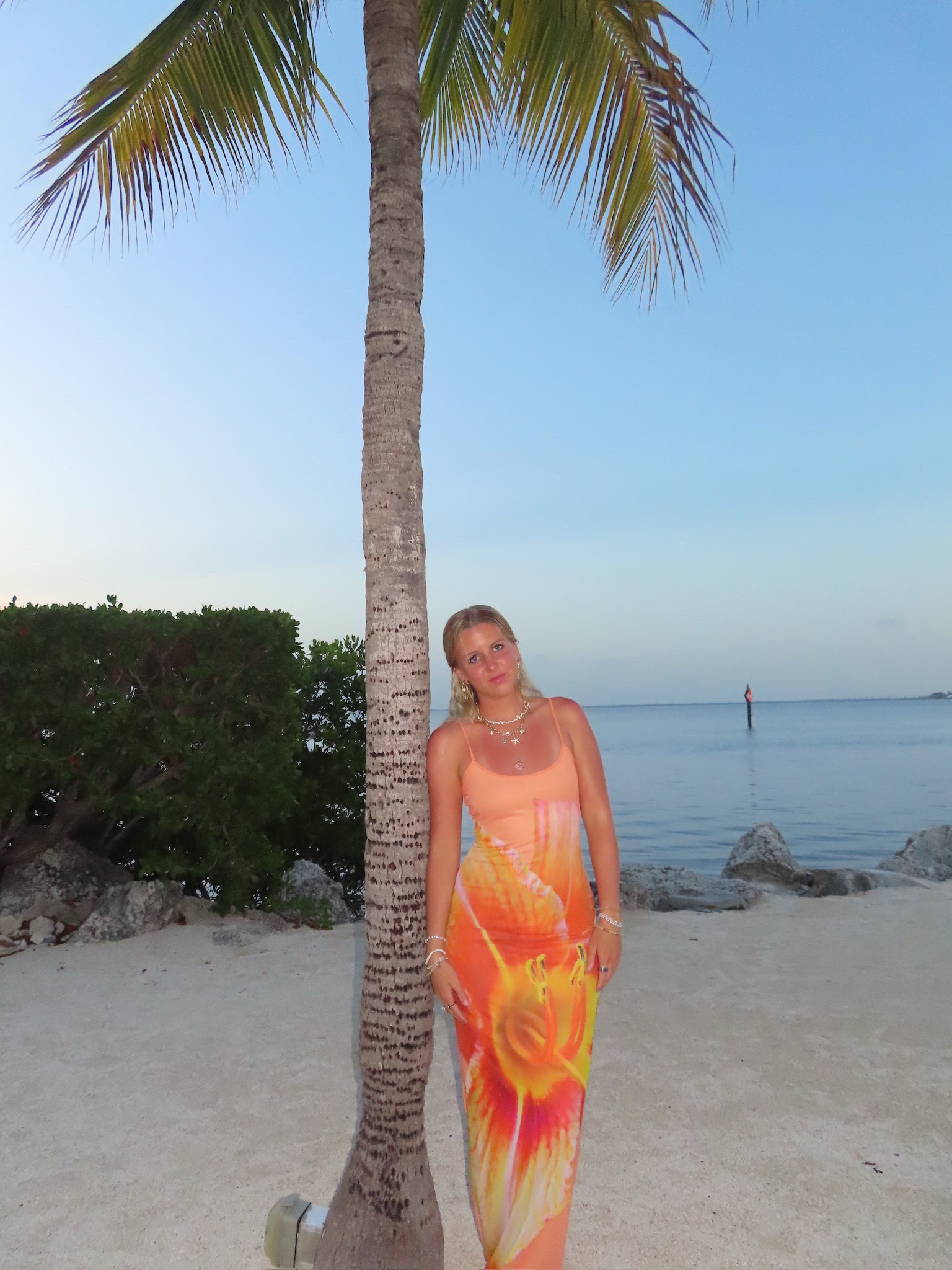 The way this dress is JAW DROPPING… wearing a size US 2 for reference 

#LTKParties #LTKTravel #LTKFindsUnder100