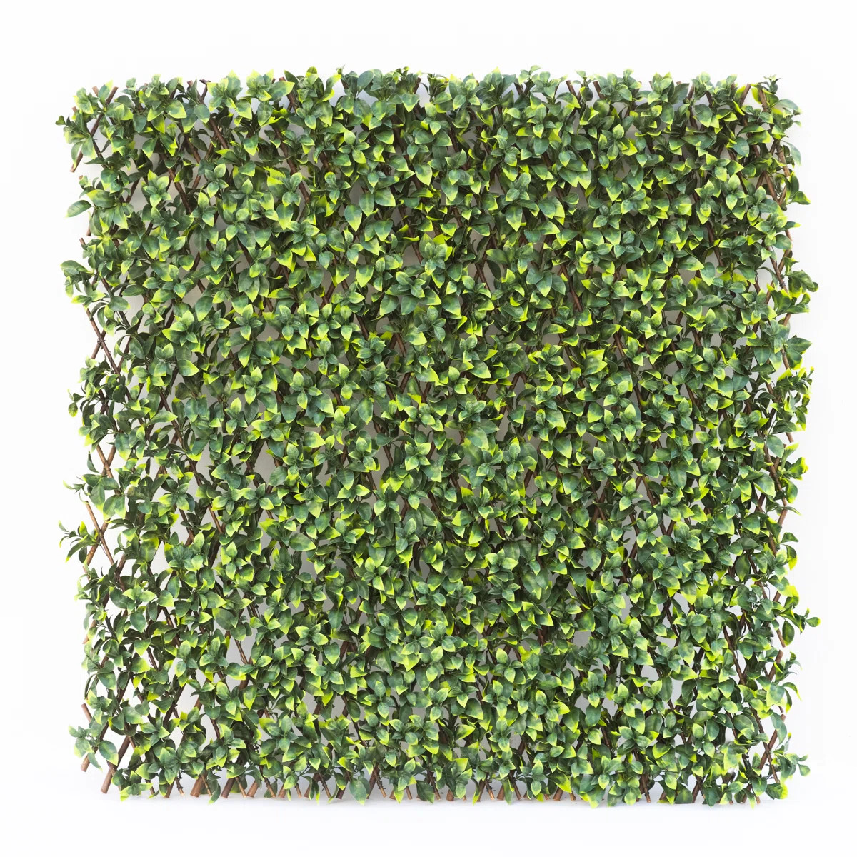 2PC Single Side Expandable Faux Artificial Hedge Gardenia Vinyl Fencing | Wayfair North America