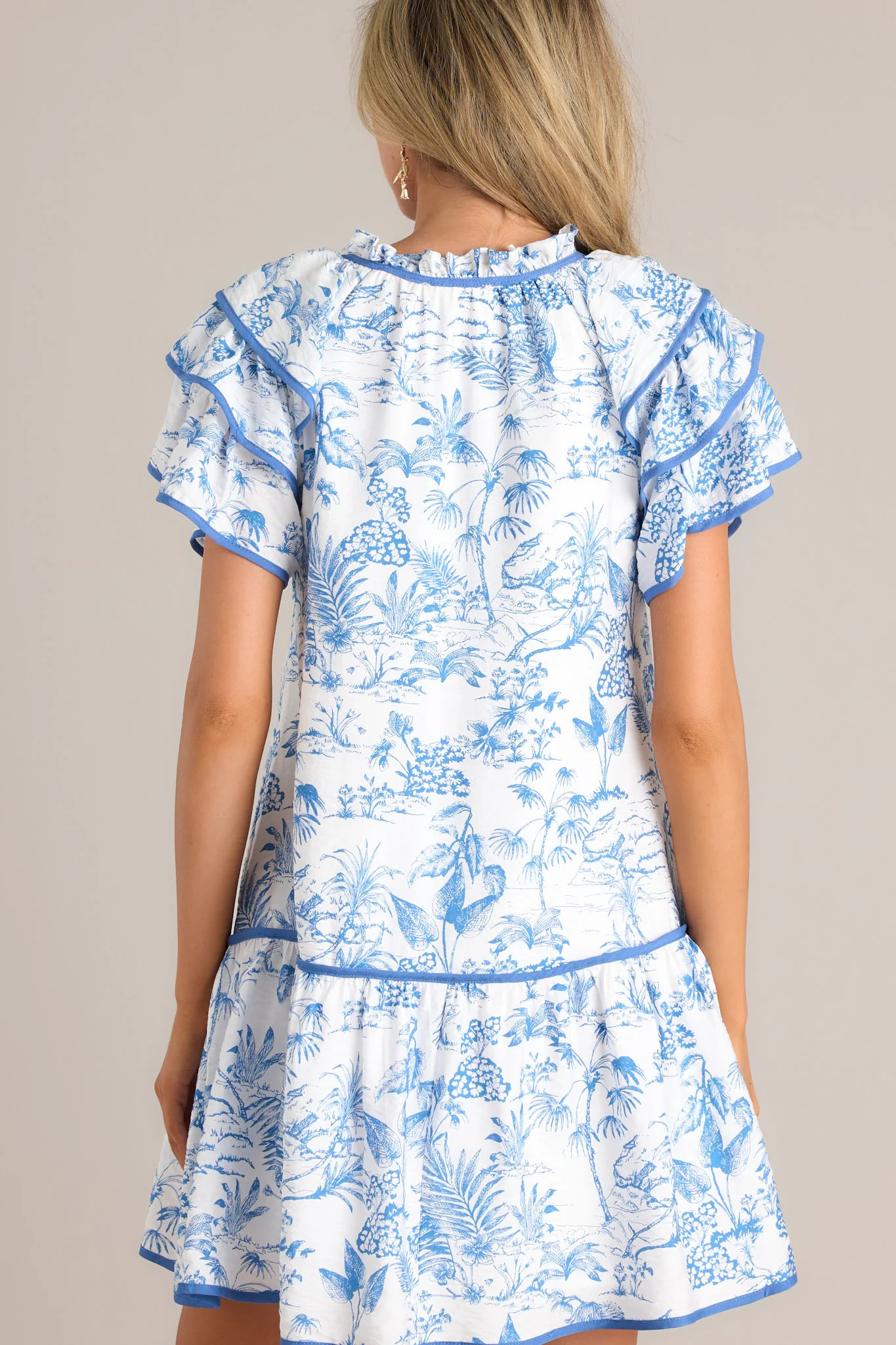 Porcelain Garden Blue Toile Mini Dress | Red Dress