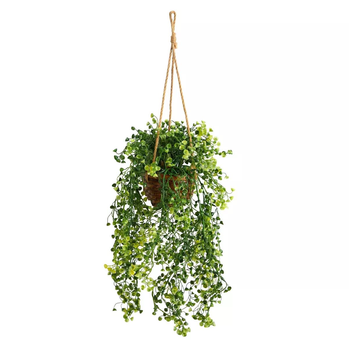 Nearly Natural 20-in Baby Tear Artificial Plant in Hanging Basket | Target