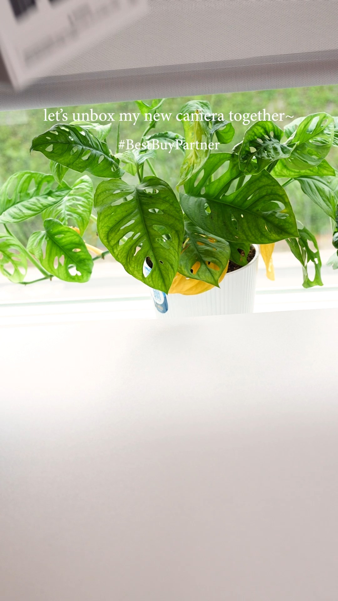 #BestBuyPartner ASMR unboxing of my new Sony ZV-E10 II! I’m going to use this to capture top-down shots of my future builds and for my stream, if I ever get back to doing those. It also has real-time tracking to always keep you (or your subject!) in focus 💗

You can get one now at Best Buy, it’s a great starter camera! Take your content to the next level with The Sony ZV-E10 II Content Creators’ Camera! @BestBuy #Sonyalpha #SonyZV
 

 