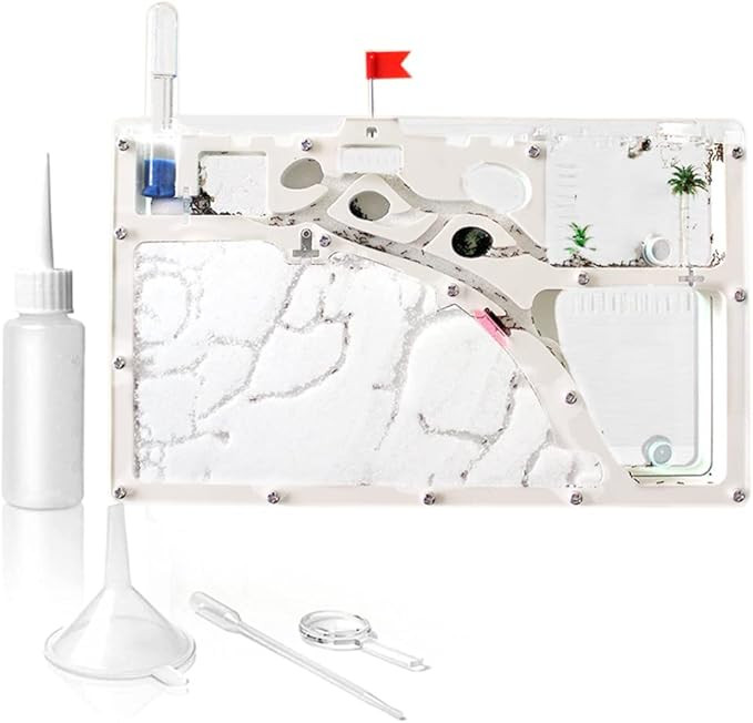 Ant Farming Castle, Habitat Science Learning Kit, Farms for Live Ants, Colony Educational Toy Kit... | Amazon (US)