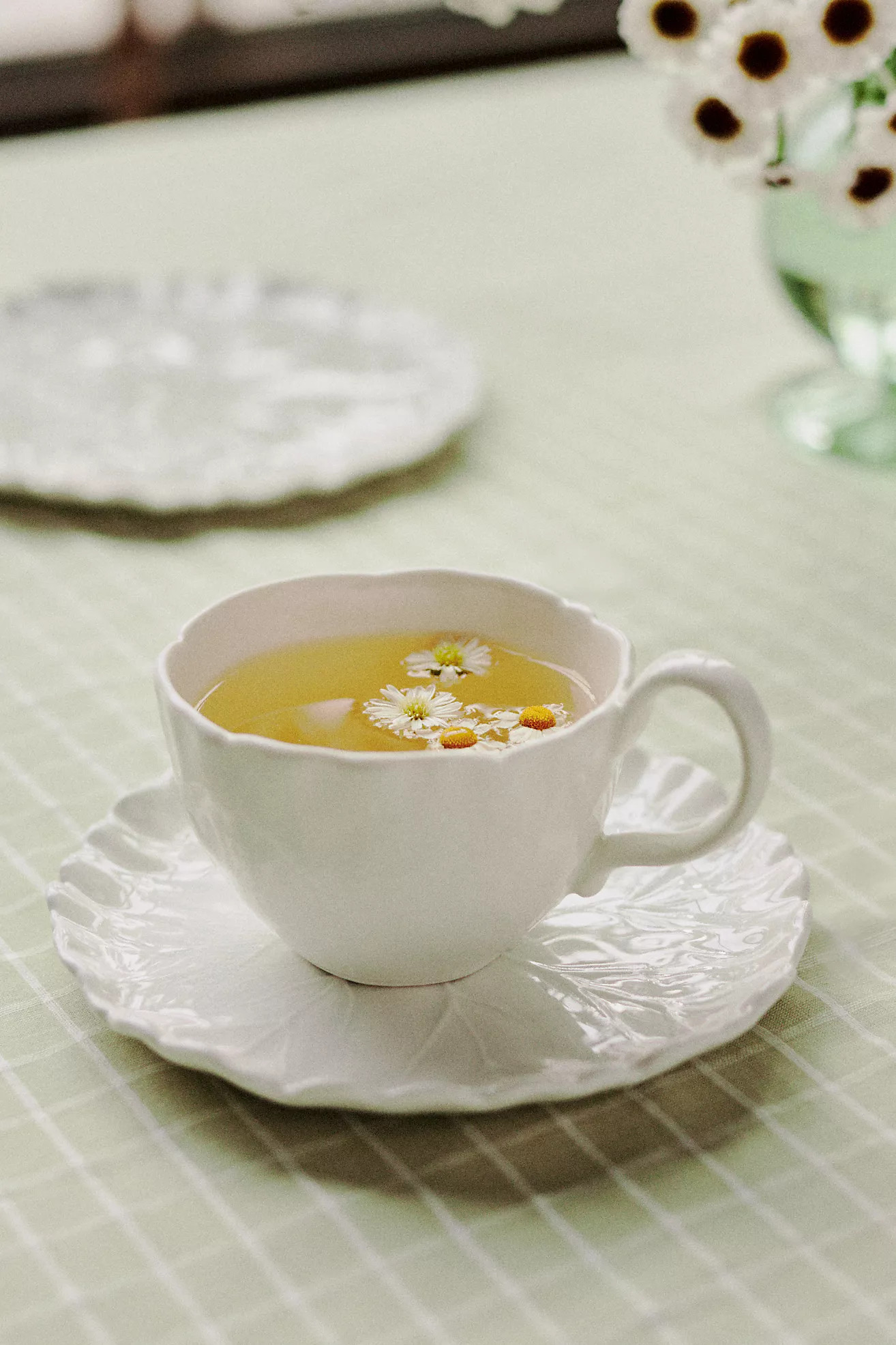 Lilypad Teacup and Saucer Set | Anthropologie (US)
