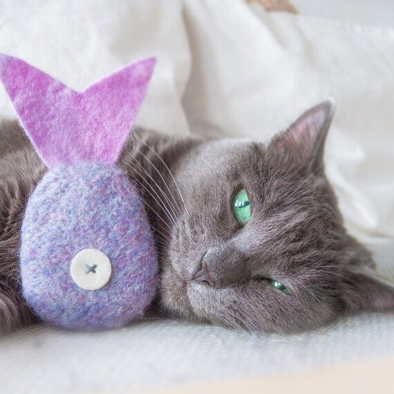 Catnip Toy. Cat toy. Catnip Fish. Lilac. Tropical Fish. | Etsy | Etsy (US)