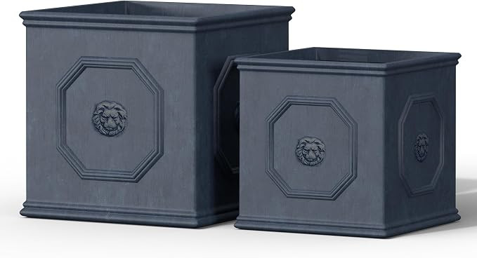 Kante Square Lion Head Concrete Planter Set of 2, Classic English Style Plant Pot with Drainage H... | Amazon (US)