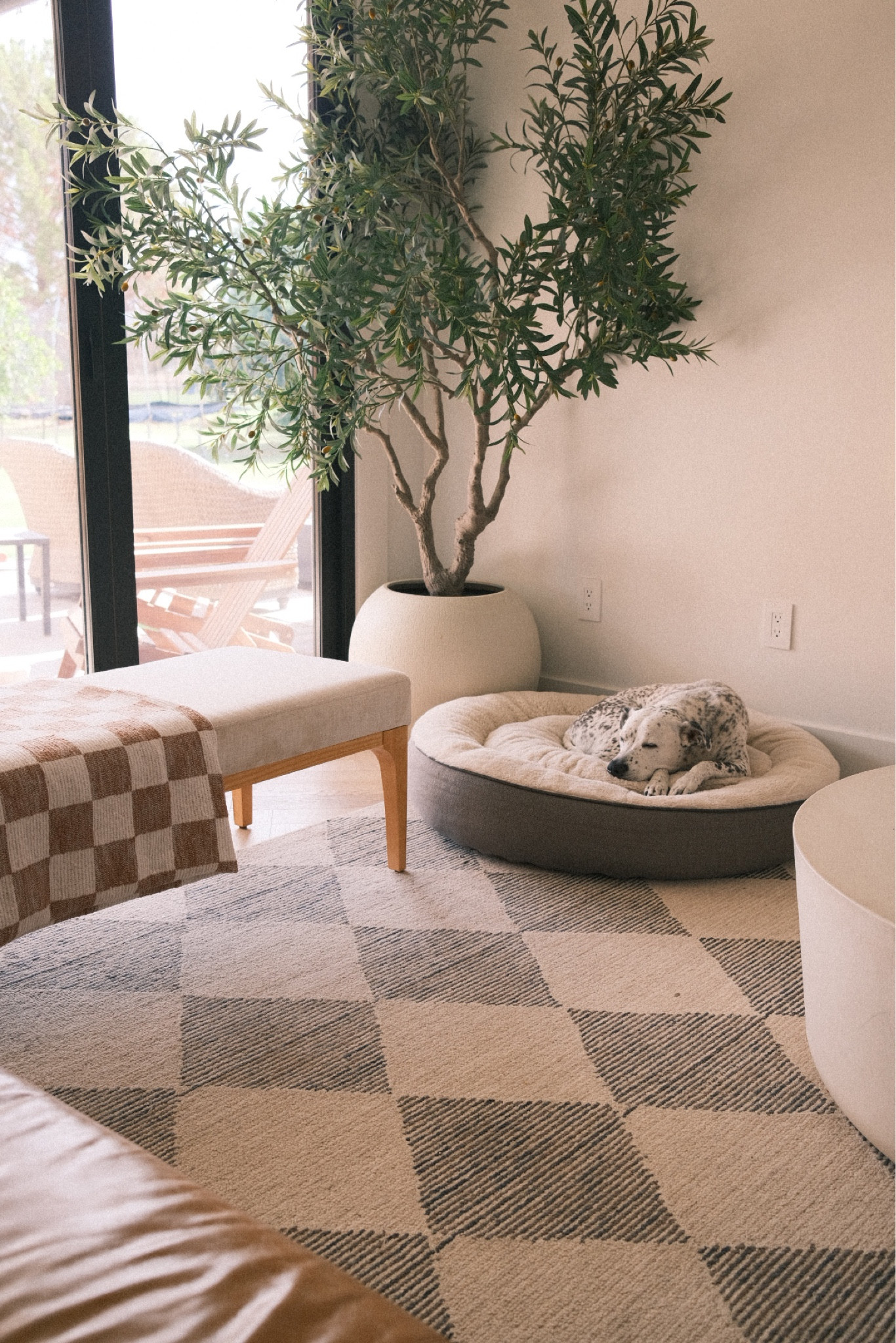 Favorite rug

#LTKStyleTip #LTKHome #LTKFamily