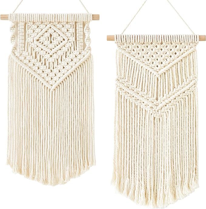 Dahey 2 Pcs Macrame Wall Hanging Small Woven Tapestry Wall Art Decor - Beautiful for Boho Home De... | Amazon (US)