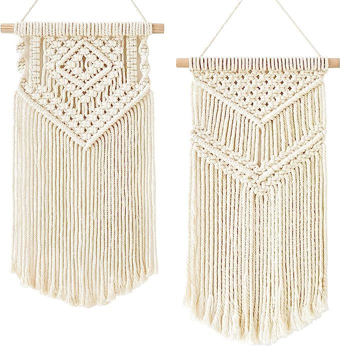 Dahey 2 Pcs Macrame Wall Hanging Small Woven Tapestry Wall Art Decor - Beautiful for Boho Home De... | Amazon (US)