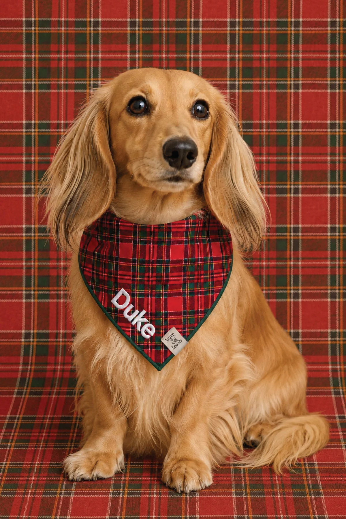 Embroidered Christmas Pet Bandana | Plaid Tidings | Caden Lane