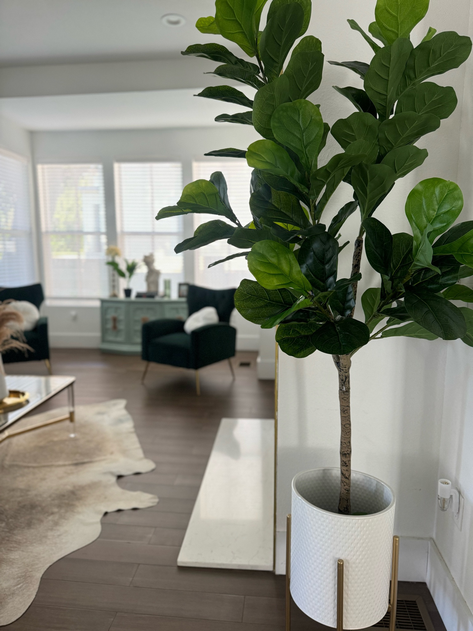 Amazon Fiddle leaf fig
Amazon artificial plant


#LTKHome #LTKCon #LTKSeasonal