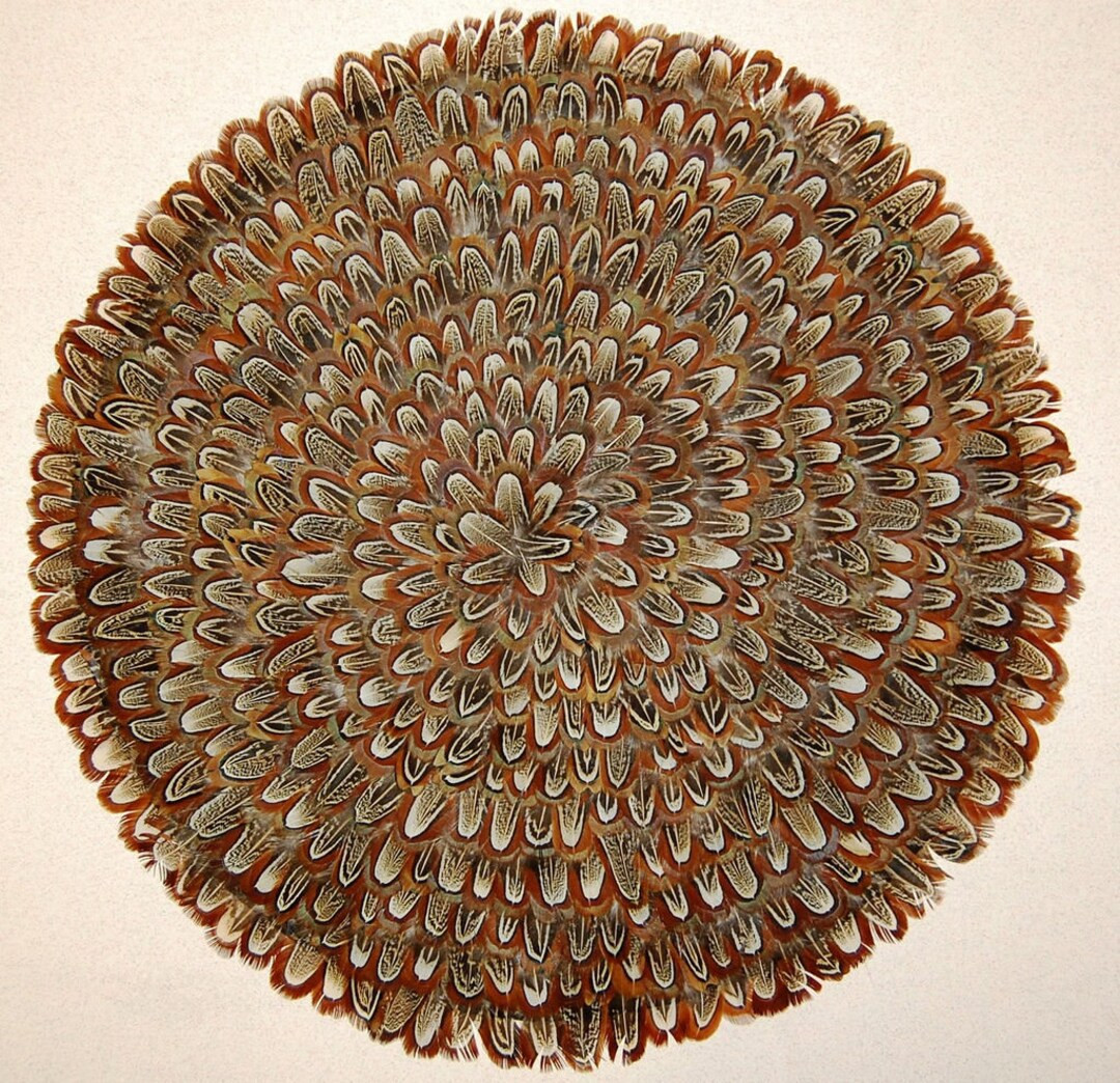 Natural Almond FEATHER PLACEMAT 15 X 15 Circle - Etsy | Etsy (US)