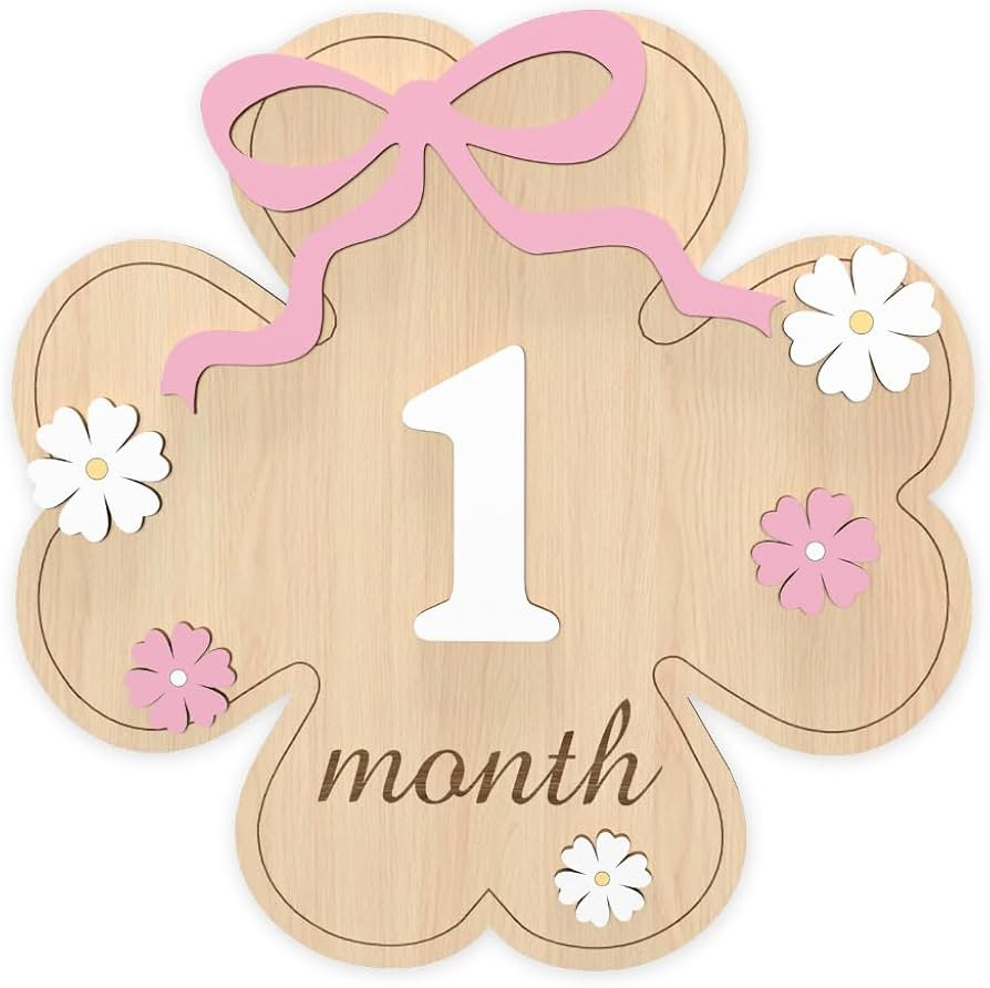 Baby Monthly Milestone Signs, Wooden Month Signs for Baby First Year Photos, 1-12 Month Baby Mile... | Amazon (US)