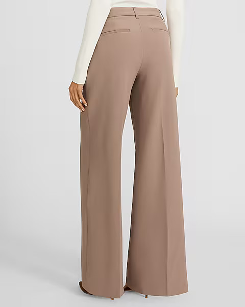 Editor Studio Stretch Twill Mid Rise Wide Leg Pant | Express