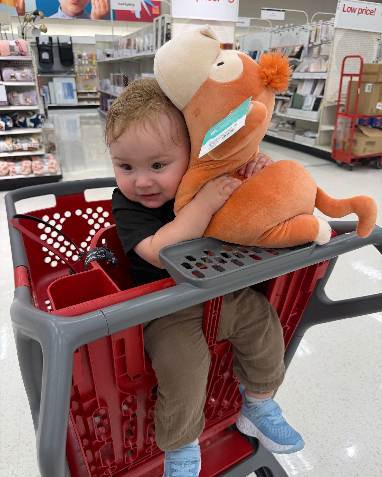 Target got us again 😂 Nathan found the weighted stuffies and immediately decided this monkey was coming home with us. 🐒🤎

They’re SO soft, weighted, cuddly and honestly I kind of want one for myself. 😂 Target has a whole lineup and they’re way too cute.

Which one are you picking: 🐒 🦓 🦩 🦕?
I am linking all of the cuties below! 
@Target

#LTKBaby #LTKKids #LTKHome