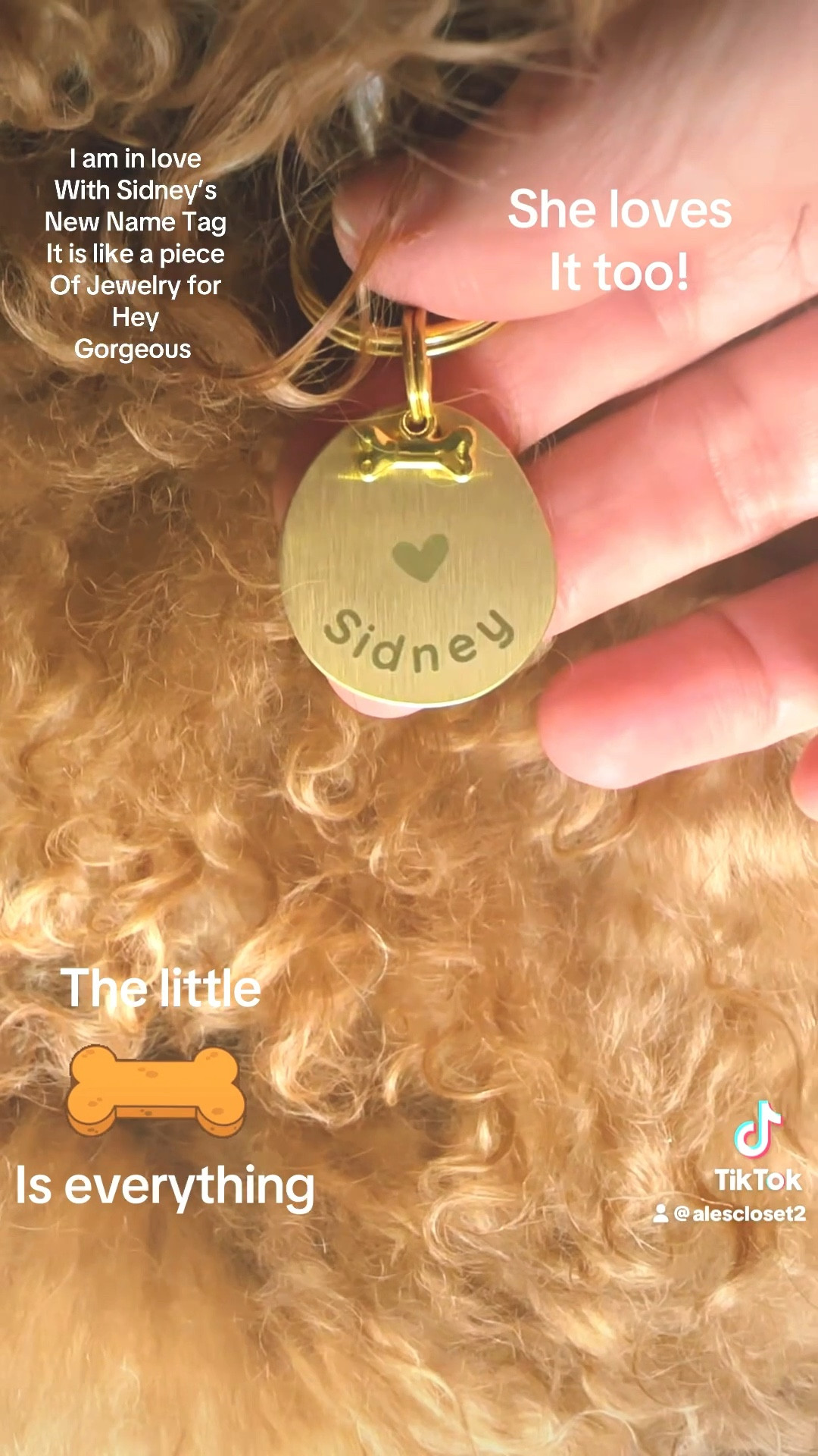 I am truly in love with Sidney’s new name tag 🤍✨
It looks so chic on her — almost like she’s wearing a little pendant necklace.
The quality is gorgeous, the engraving is clear, and the price was amazing for how luxe it feels.
Perfect for gifting or updating your pup’s everyday look. 🐾💛

Link below!

#DogMomLife #PetAccessories #PetStyle #DogTag #DogMomMustHaves #LTKPet #PetFavorites #DogLovers #GoldDetails #LTKFinds