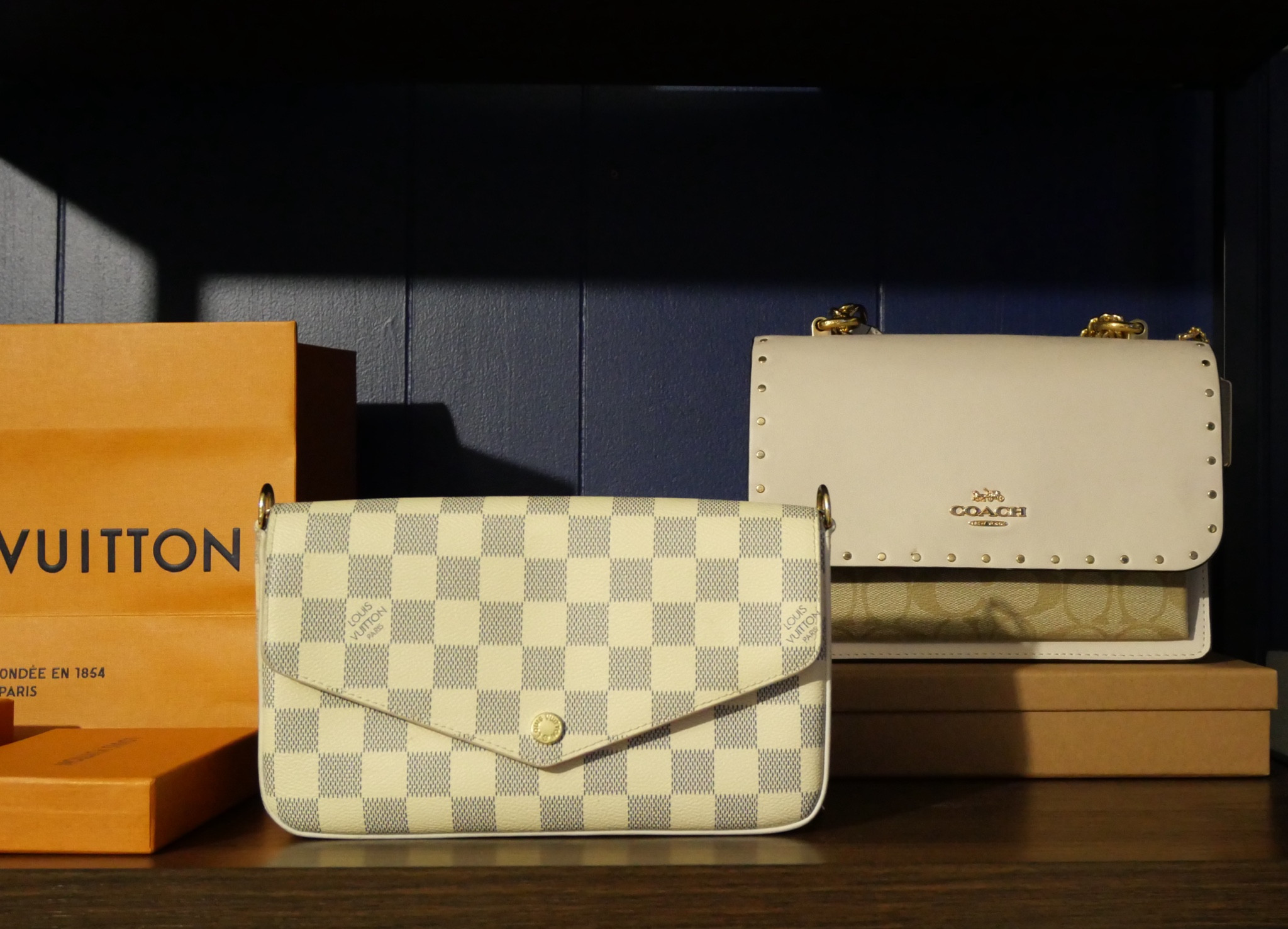 I love both Louis Vuitton and Coach purses! 

#LTKStyleTip #LTKItBag #LTKSeasonal