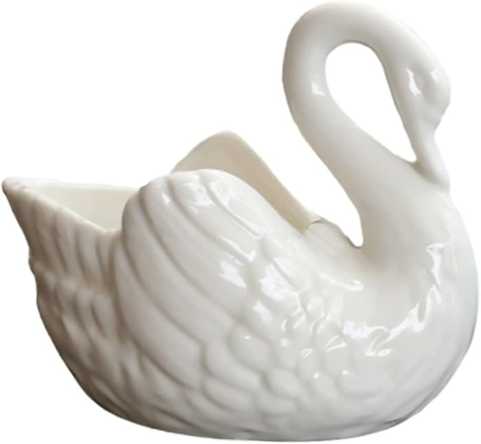 VANZACK Elegant Swan Porcelain Swan Pot Fresh Style for Use for Home Gardening | Amazon (US)