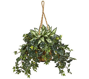Silver Queen & Ivy Plant in Hanging Basket by N early Natural | QVC