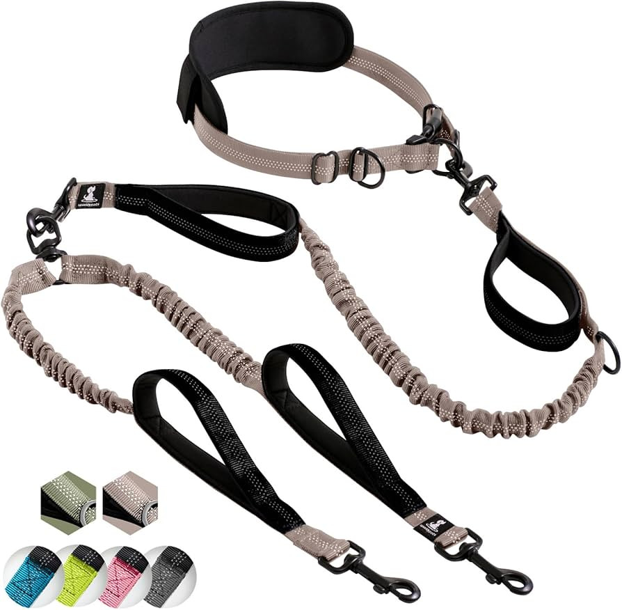 SparklyPets Hands Free Double Dog Leash – Dual Dog Leash for Medium and Large Dogs – Dog Leas... | Amazon (US)