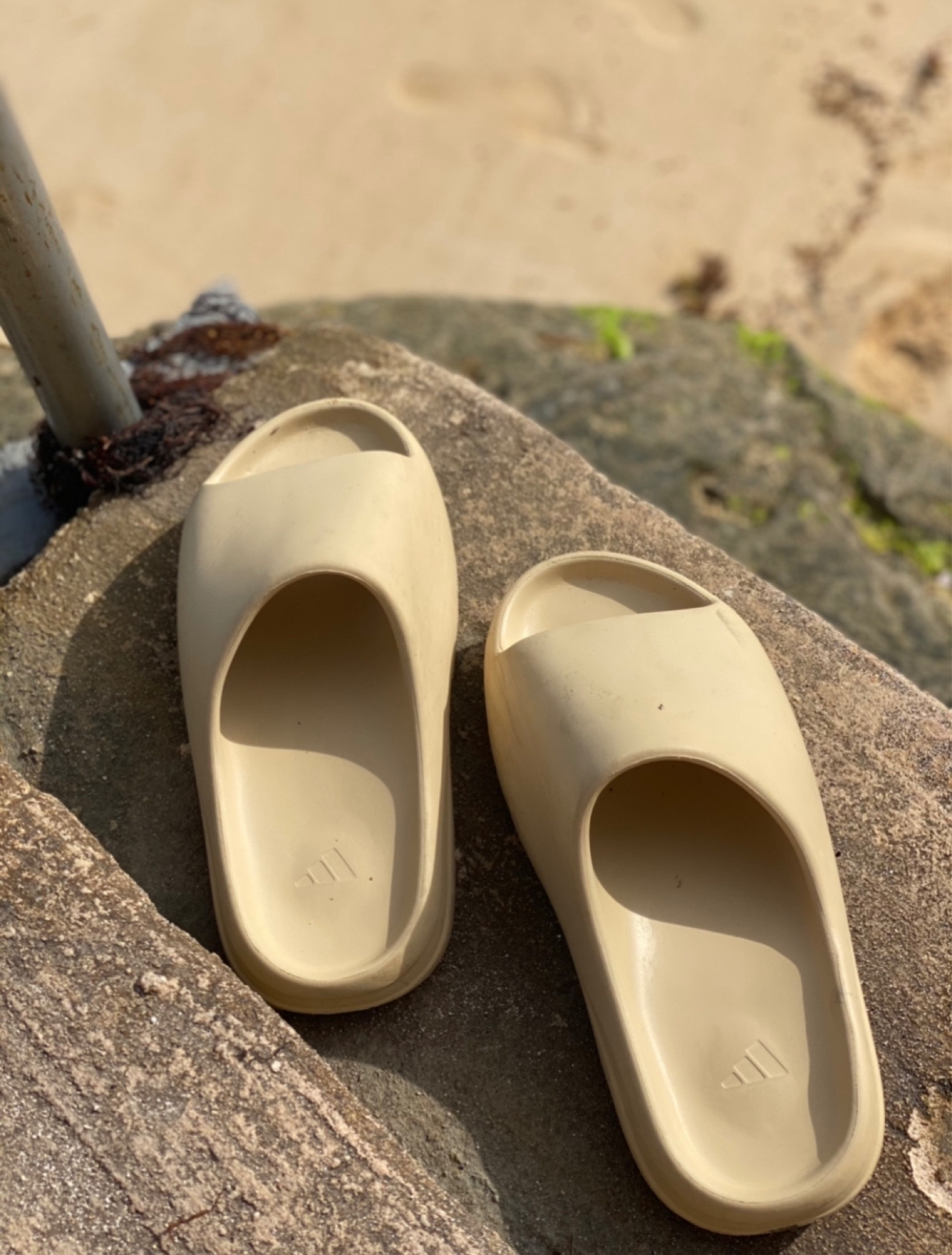 Yeezy Slides

#LTKstyletip #LTKfit #LTKFind