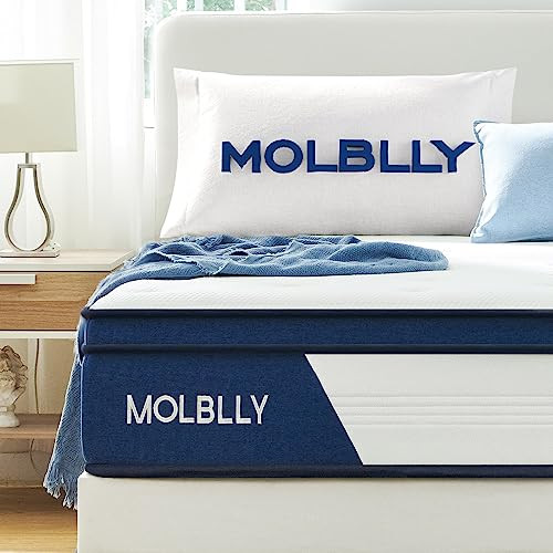 Molblly Queen Mattress, 10 Inch Hybrid Mattress with Gel Memory Foam,Motion Isolation Individuall... | Amazon (US)