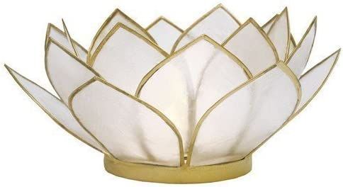 Natural Capiz Shell Lotus Tealight Holder | Amazon (US)