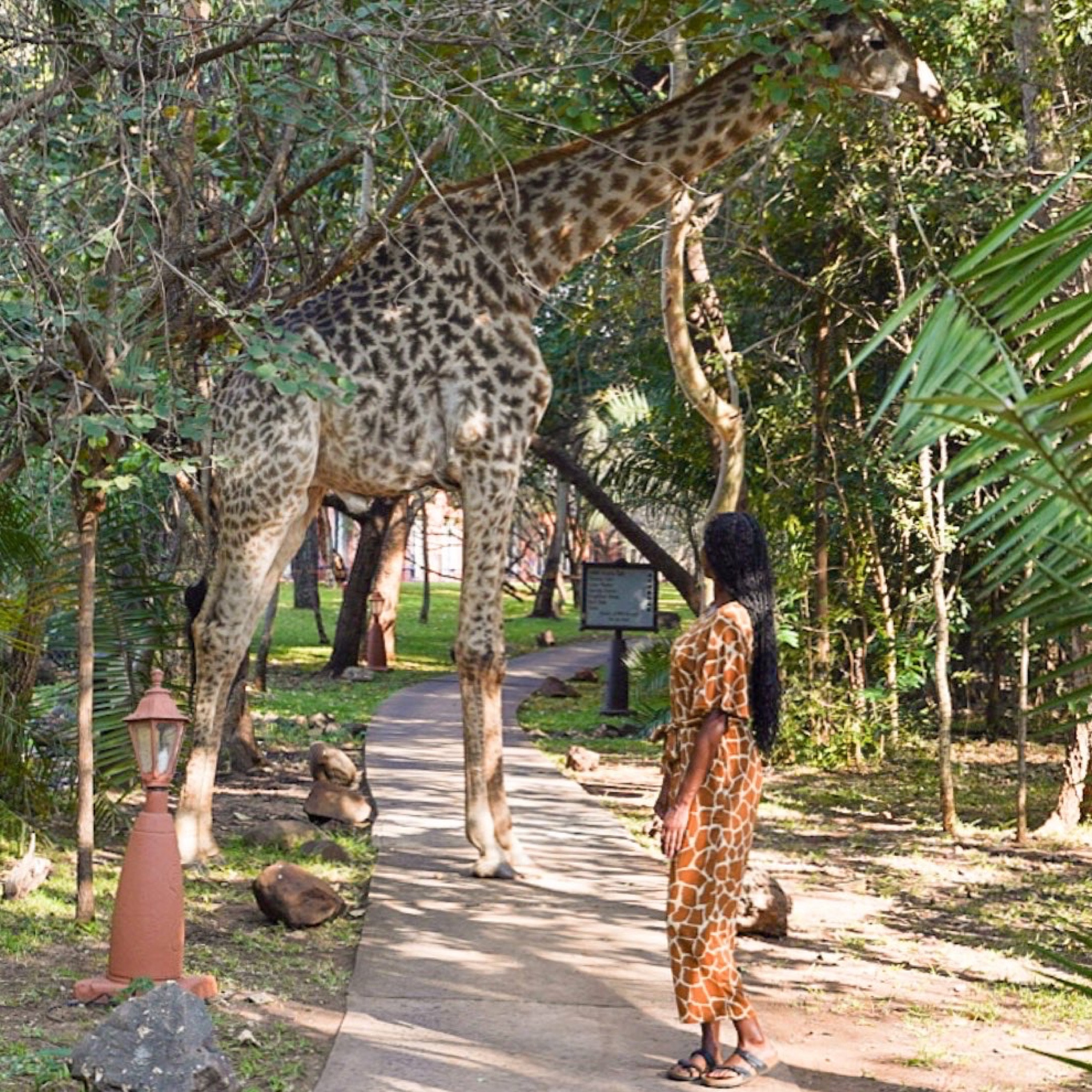 Giraffe print jumpsuit 

#LTKtravel #LTKstyletip