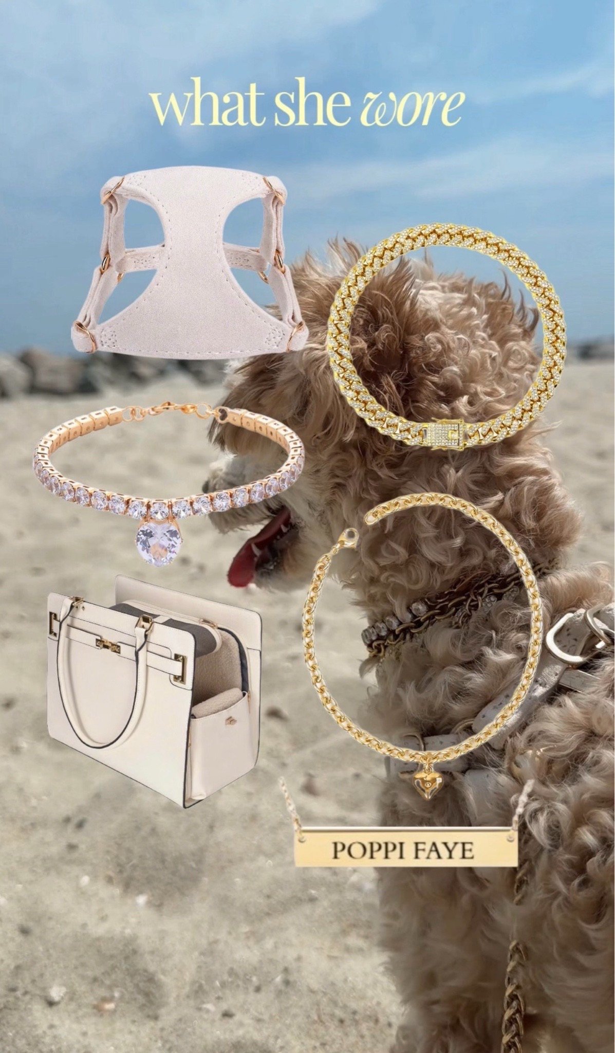 What Poppi (my toy poodle) wore to the cape!🌊🐚

#LTKootd #LTKdayinmylife #LTKTravel