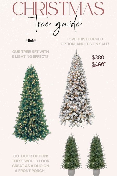 Great Christmas tree options for indoor and outdoor!