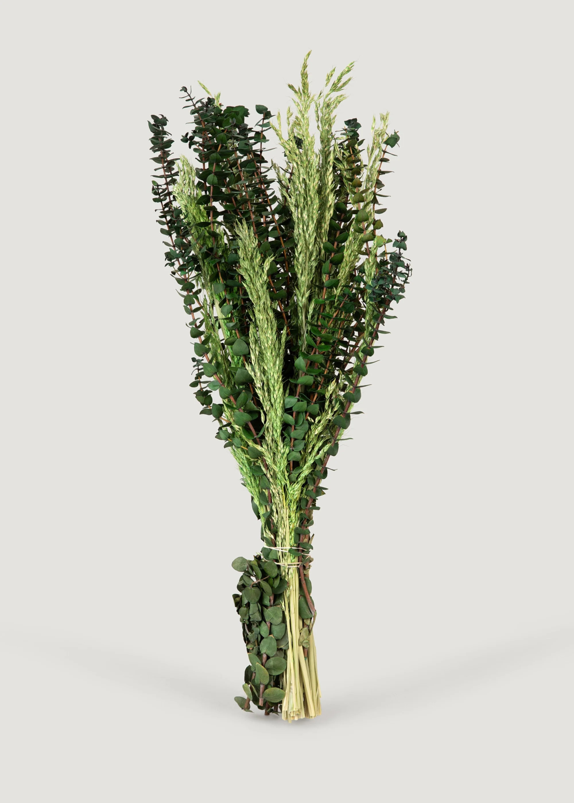 Mixed Bundle of Preserved Eucalyptus and Grass - 24" | Afloral