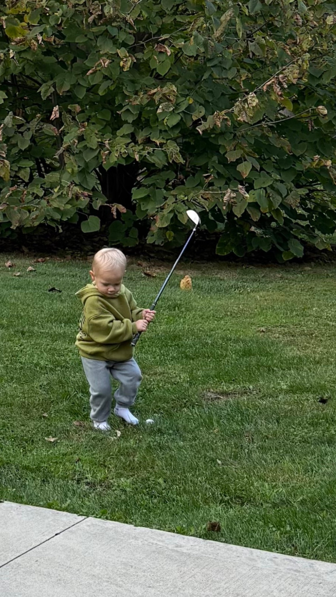 Maeson’s golf clubs (Tiny 34-38 Tall) - comes with golf bag, rain bag, driver, wedge and putter. The basics to start! We got him these clubs when he was 1.5 yo and they were a tad heavier for him, but he adjusted to them quickly. 

#LTKActive #LTKKids #LTKBaby