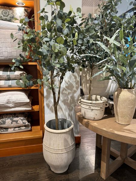 Gorgeous Faux Eucalyptus tree for your home decor ! 😍

#LTKhome #LTKSeasonal #LTKstyletip