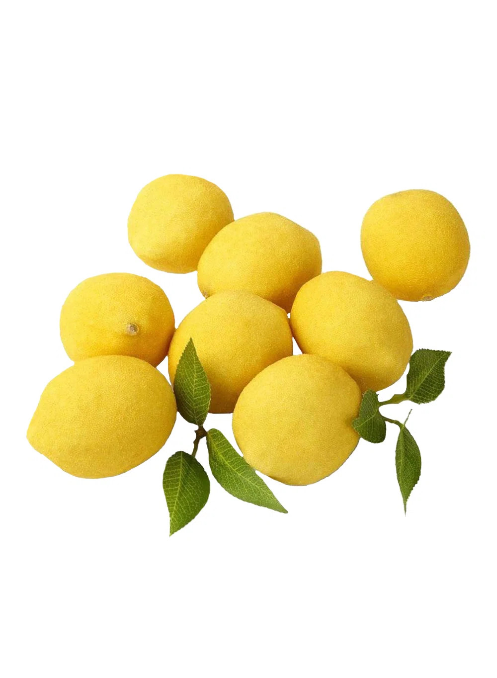 Serene Spaces Living 8 of Pieces Leaves Decorative Lemons Sculpture Set "& Reviews" | Wayfair | Wayfair North America