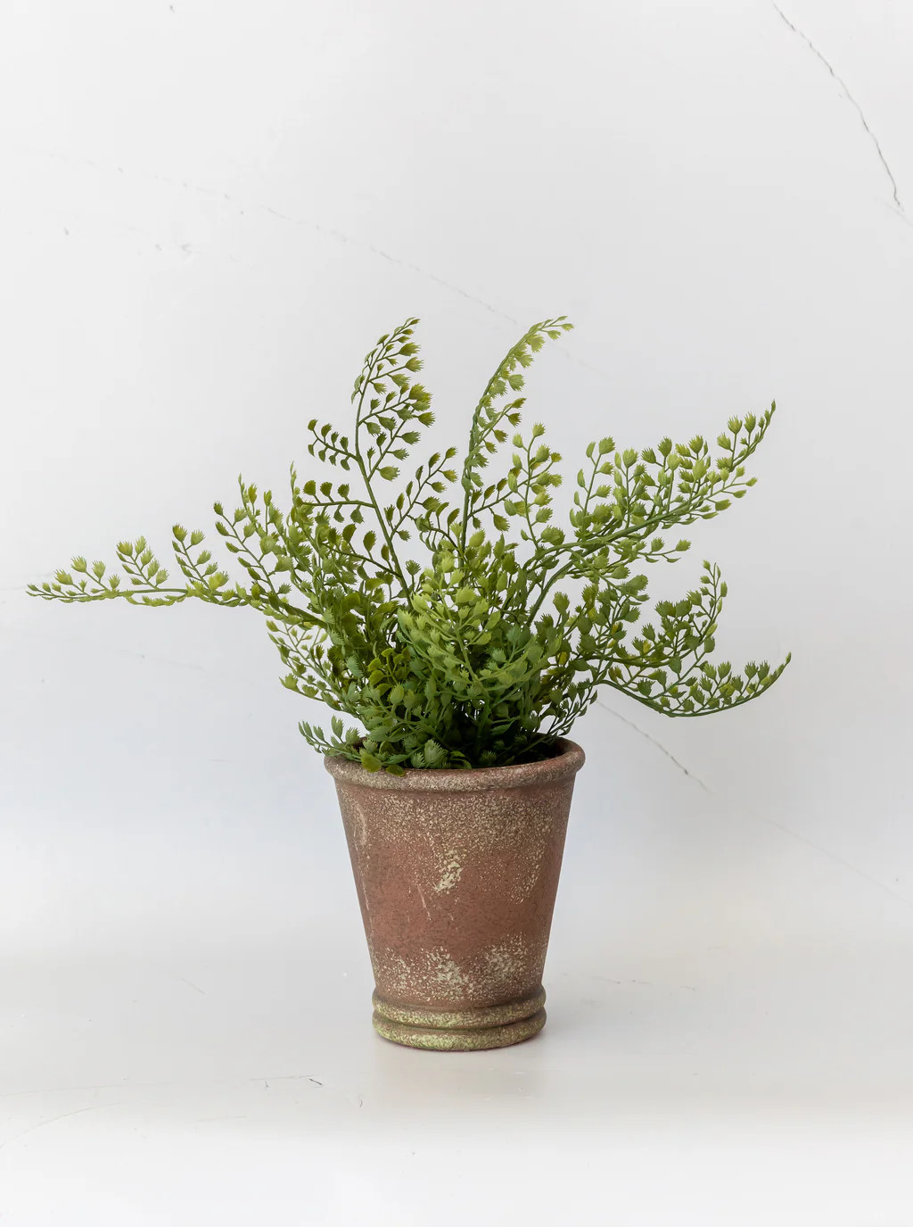 Faux Maidenhair Fern | House of Jade Home