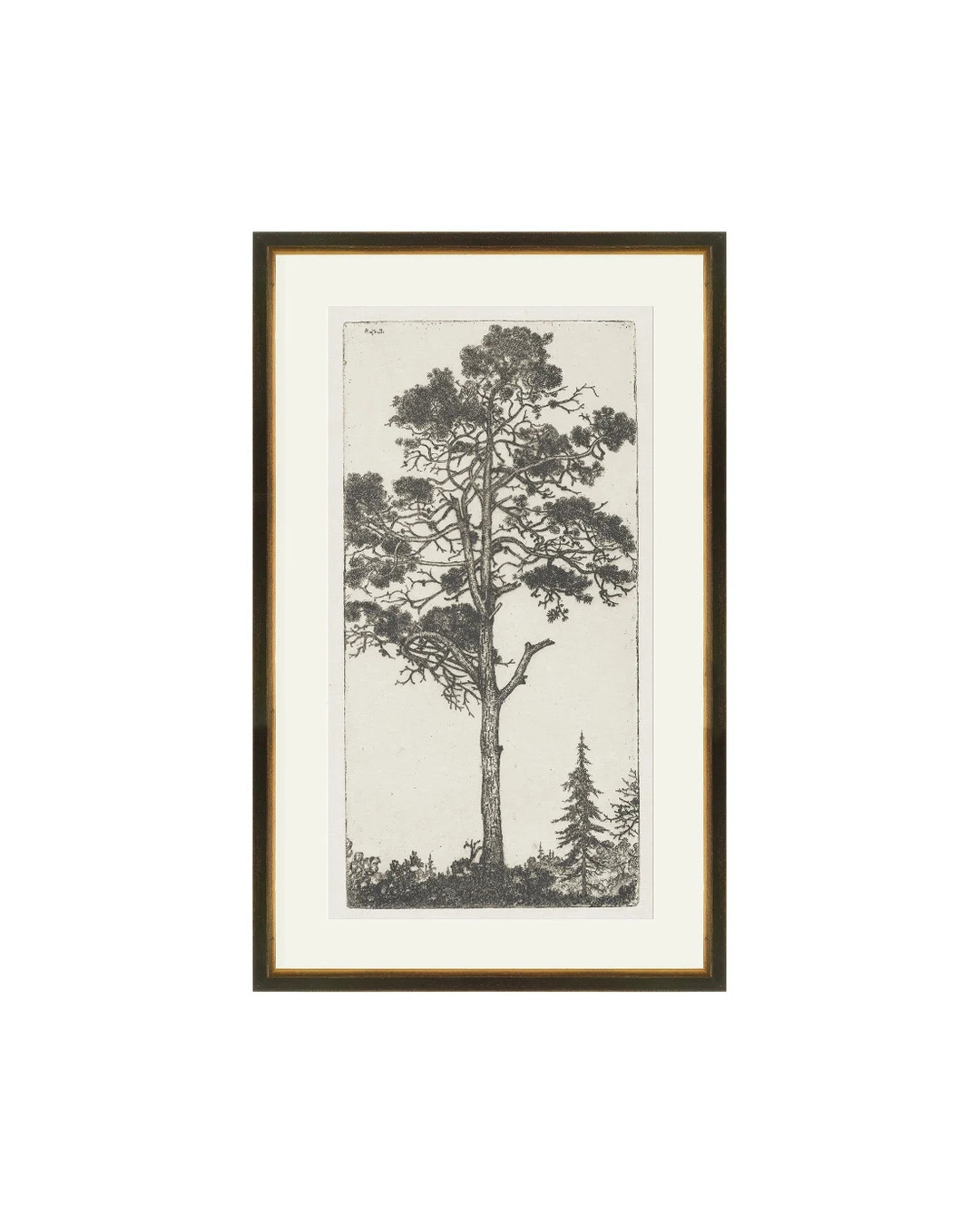 FRAMED. Trees Etching 1. Etching Tree Print. Framed Trees Wall Art. Framed Etching Tree. Tree Wal... | Etsy (US)