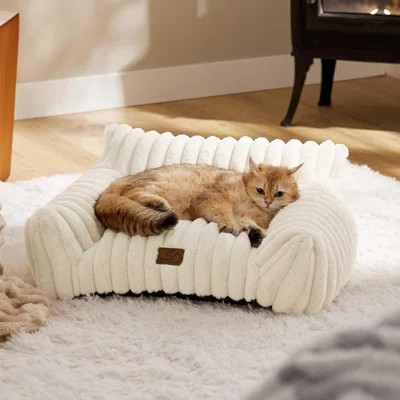 Cute Couch For Pets - Fluffy Cat Sofa With Premium Soft Corduroy Fleece, Fuzzy Couch Bed With Removable Washable Cover, Supportive Cat Chair For Indoo | Wayfair North America